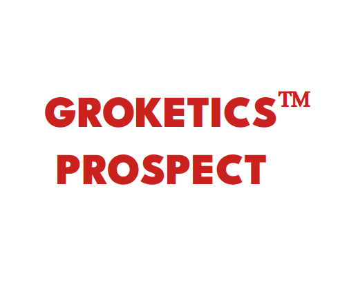 Groketics Prospect